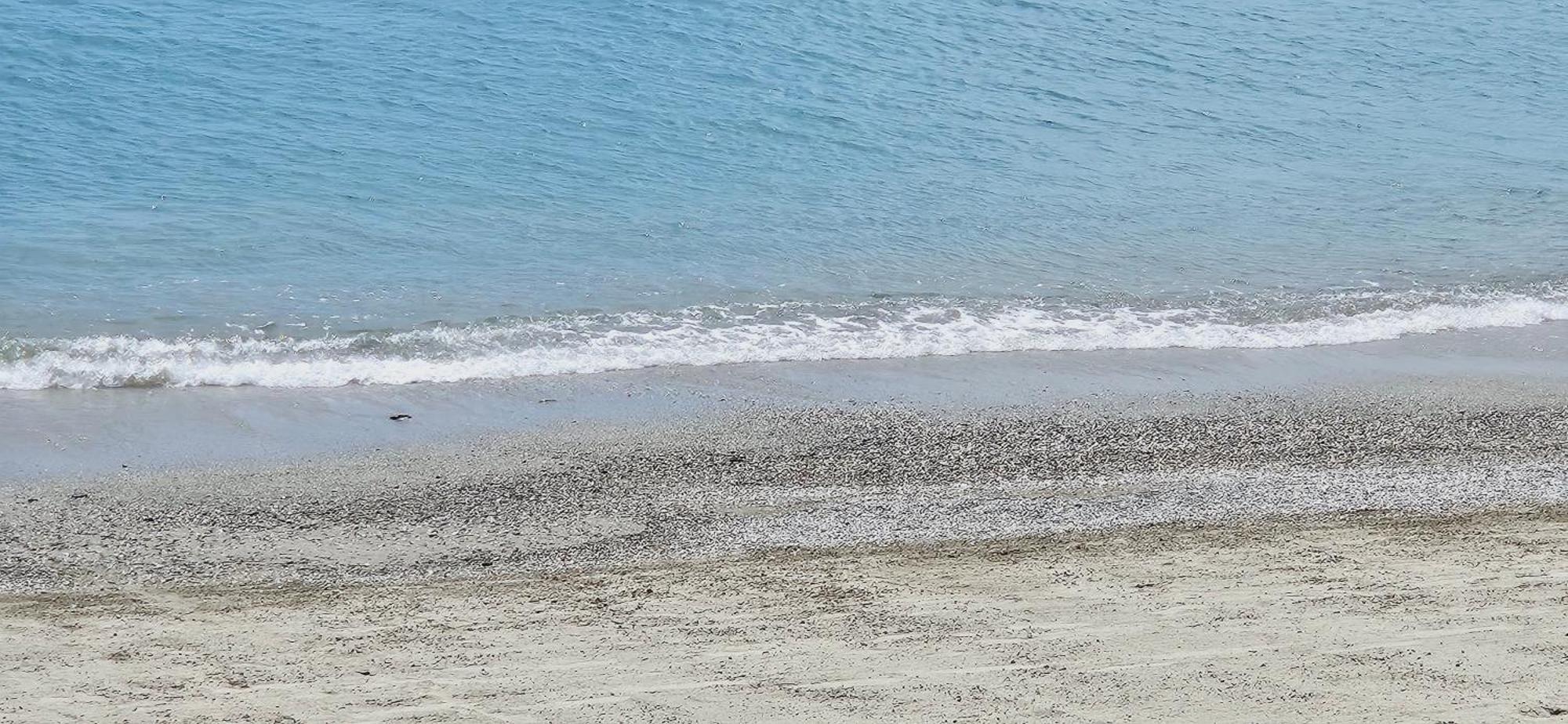 Vista Mare Savona公寓 外观 照片